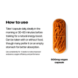 CORDYCEPS | THE FORMULA