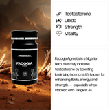 FADOGIA | THE FORMULA