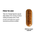 FADOGIA | THE FORMULA