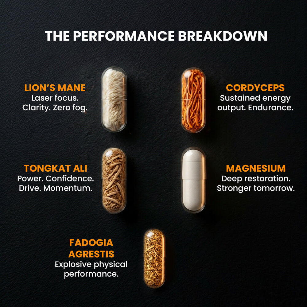 THE ELITE PERFORMANCE STACK