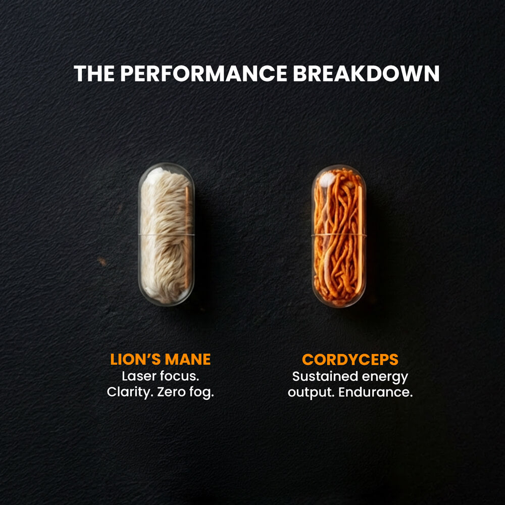 THE ENDURANCE STACK