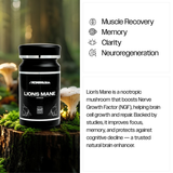 LIONS MANE | THE FORMULA