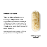 LIONS MANE | THE FORMULA