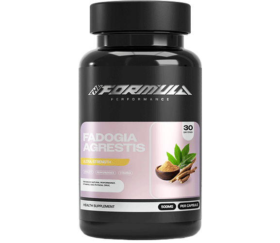 THE FORMULA PERFORMANCE