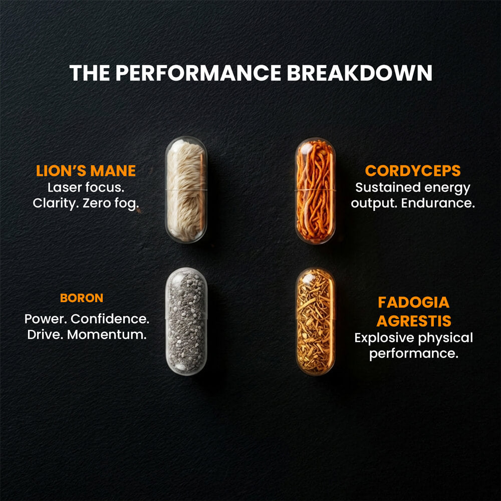 THE HIGH PERFORMANCE STACK