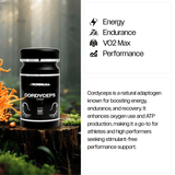 CORDYCEPS | THE FORMULA