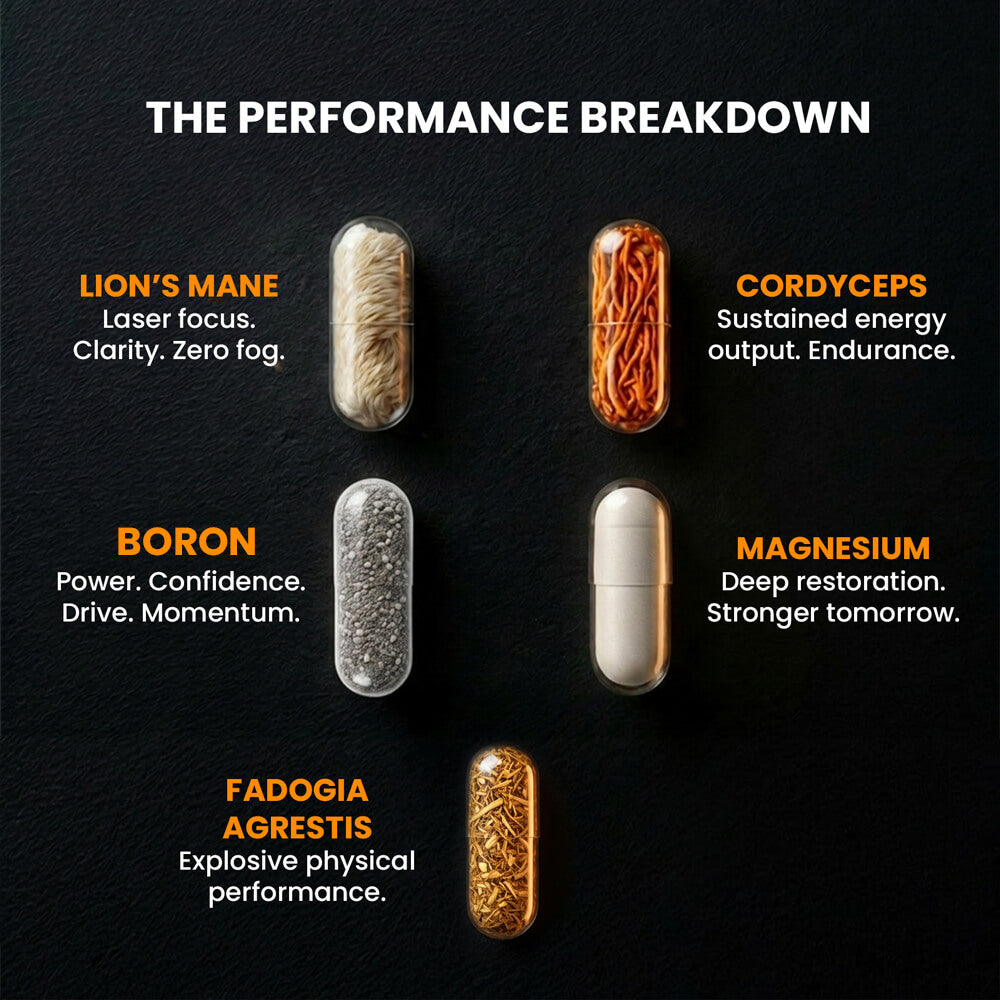 THE ELITE PERFORMANCE STACK