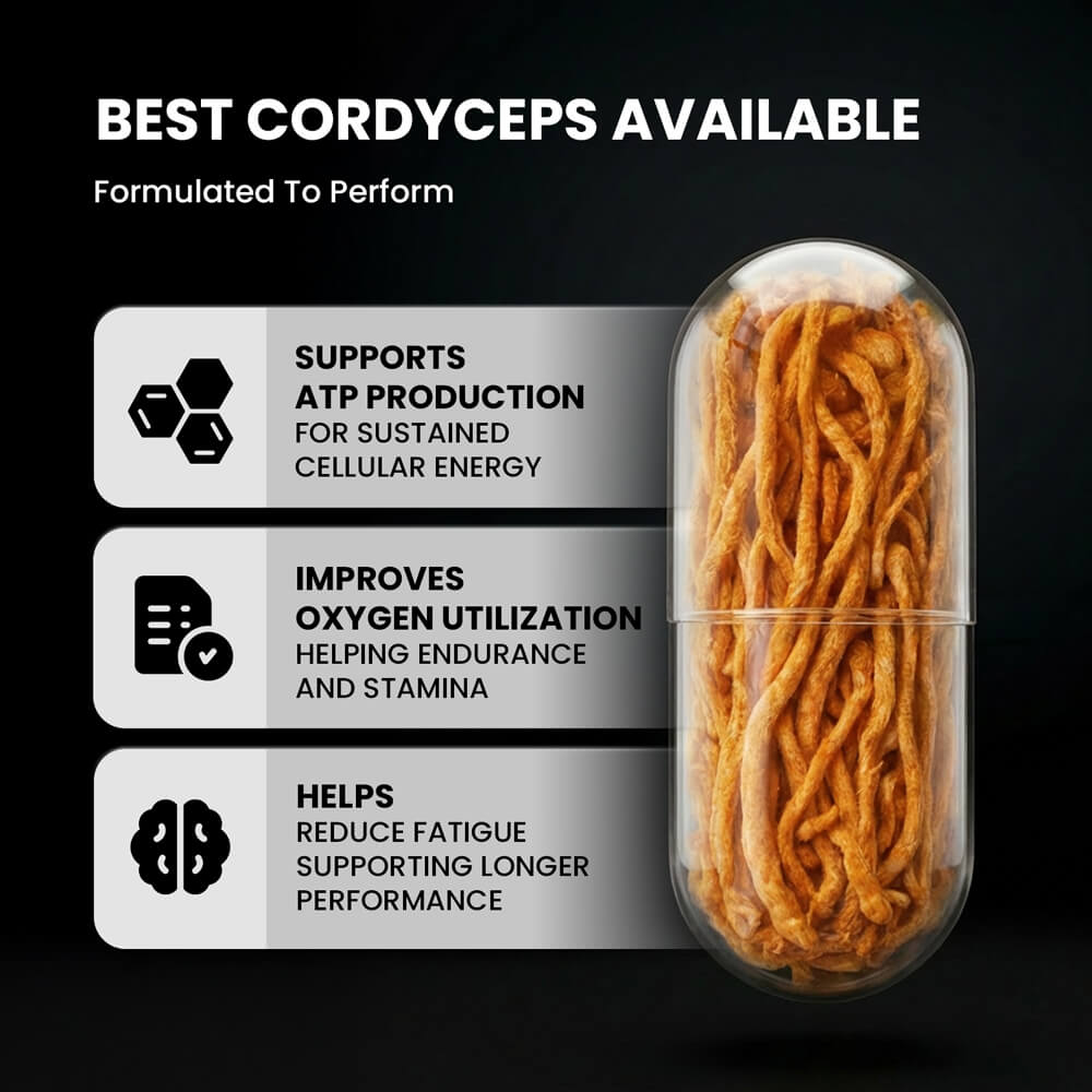 CORDYCEPS | Endurance Energy Formula