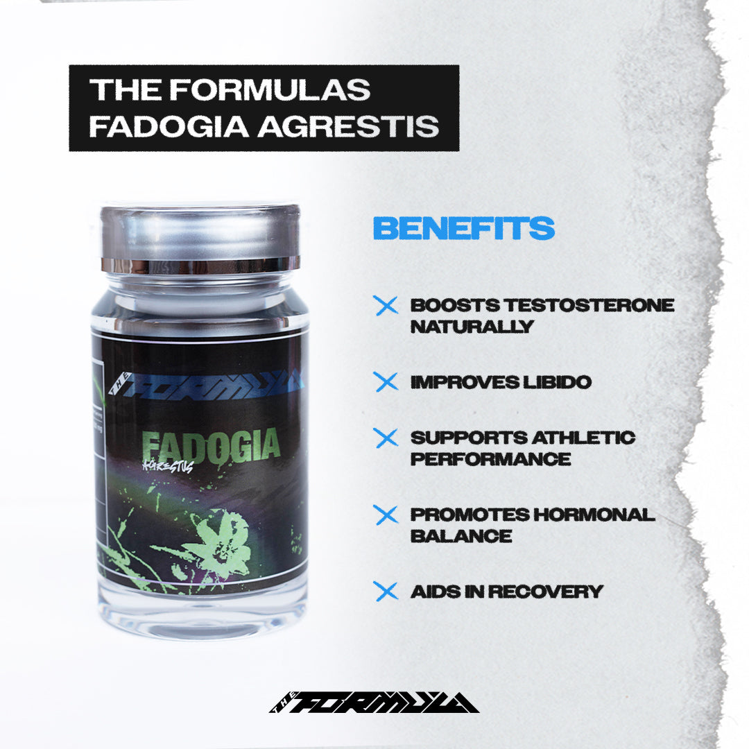 FADOGIA | THE FORMULA